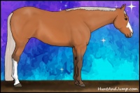 Horse Color:Silver Bay 