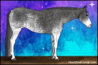 Horse Color:White Spotted Blue Roan Rabicano  Brindle
