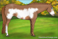 Horse Color:Chestnut Frame 