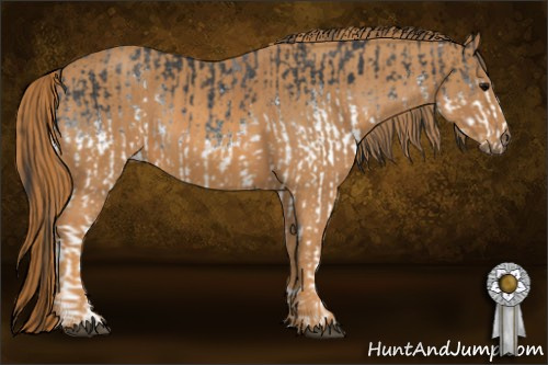 Horse Color: White Spotted Blue Roan Rabicano  Brindle