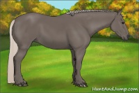 Horse Color:Silver Black 