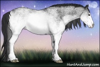 Horse Color:White Spotted Blue Roan Rabicano  Brindle