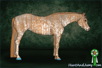 Horse Color:White Spotted Blue Roan Rabicano  Brindle