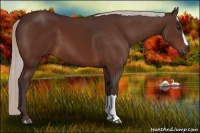 Horse Color:Silver Bay 