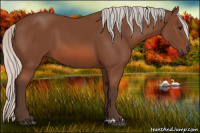 Horse Color:Silver Bay 