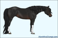 Horse Color:Gray Brown 