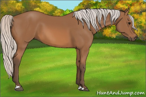 Horse Color: Silver Bay 
