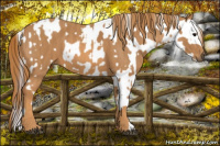 Horse Color:Brown Dun Near Leopard  Brindle