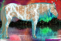 Horse Color:Thunderstruck Brown Appaloosa  Brindle