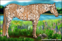 Horse Color:Brown Leopard  Brindle