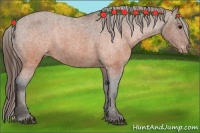 Horse Color:Brown Appaloosa  Brindle