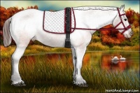Horse Color:Brown Varnish  Brindle