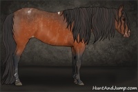 Horse Color:Brown Tobiano Blanket  Brindle