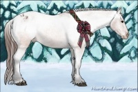 Horse Color:Brown Roan Blanket  Brindle