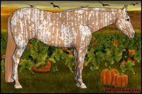 Horse Color:Watercolor Brown Appaloosa  Brindle