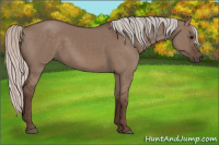 Horse Color:Silver Grullo 