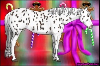 Horse Color:Liver Chestnut Appaloosa Brindle