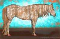 Horse Color:Brown Dun Near Leopard  Brindle