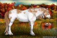 Horse Color:White Spotted Chestnut Sabino Frame 