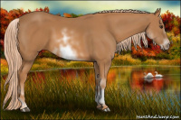 Horse Color:White Spotted Chestnut Sabino Frame 