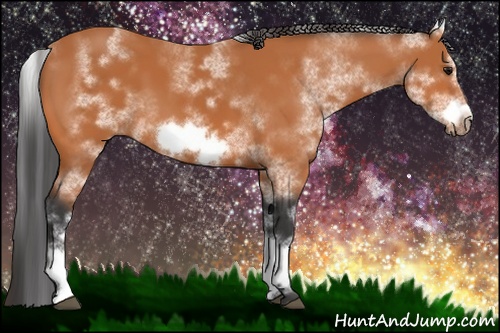 Horse Color: White Spotted Bay Sabino Frame 