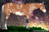 Horse Color:White Spotted Bay Sabino Frame 