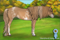 Horse Color:White Spotted Chestnut Sabino Frame 