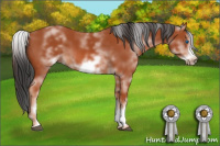 Horse Color:White Spotted Bay Sabino Frame 
