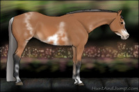 Horse Color:White Spotted Bay Sabino Frame 