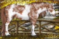 Horse Color:White Spotted Chestnut Sabino Frame 