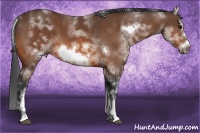 Horse Color:White Spotted Bay Sabino Frame 