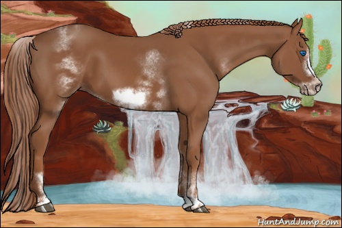 Horse Color: White Spotted Chestnut Sabino Frame 