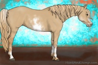 Horse Color:White Spotted Red Dun Sabino Frame 