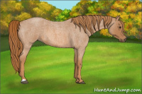 Horse Color:Red Roan 