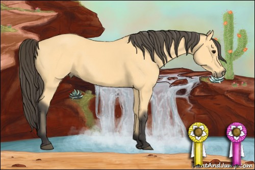 Horse Color: Buckskin 