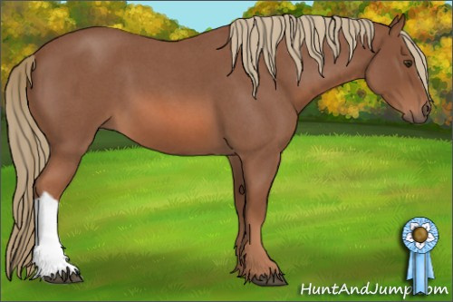 Horse Color: Red Roan 