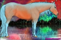 Horse Color:Watercolor Bay 
