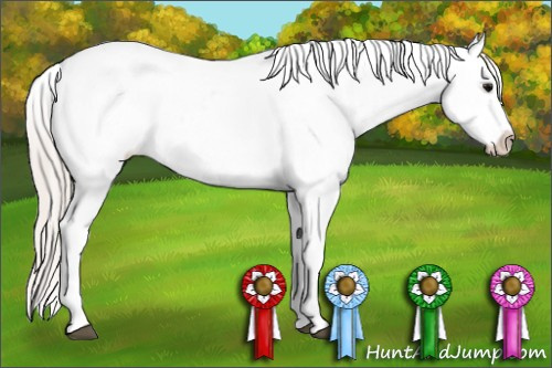 Horse Color: Silver Black Tobiano Blanket Rabicano 