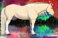 Horse Color:Palomino Roan Dun Tobiano Rabicano 