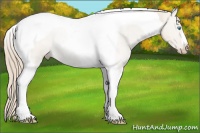 Horse Color:Smoky Creme Dun Tobiano 