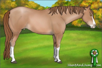 Horse Color:White Spotted Bay Pearl Splash