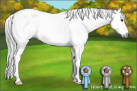 Horse Color:Gray Bay Dun Splash Tobiano 