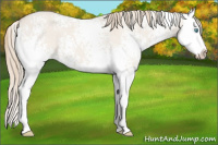 Horse Color:White Spotted Smoky Creme Dun Splash 