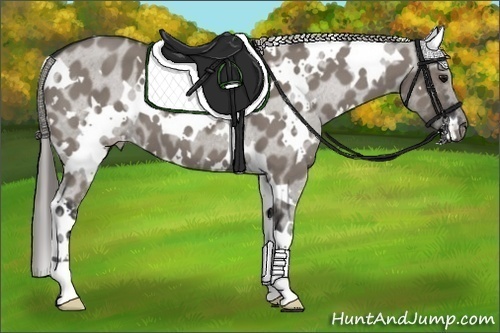 Horse Color: White Spotted Grullo Varnish 