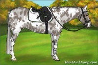 Horse Color:White Spotted Grullo Varnish 