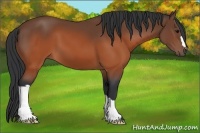 Horse Color:Brown 
