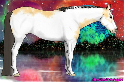 Horse Color: White Spotted Buckskin Frame 