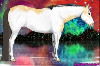 Horse Color:White Spotted Buckskin Frame 