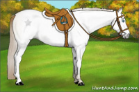 Horse Color:Gray White Spotted Buckskin Pearl Dun 