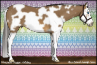 Horse Color:White Spotted Buckskin Splash Frame 